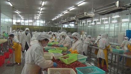 鄱湖水产食品:出口转内销 危机中寻发展