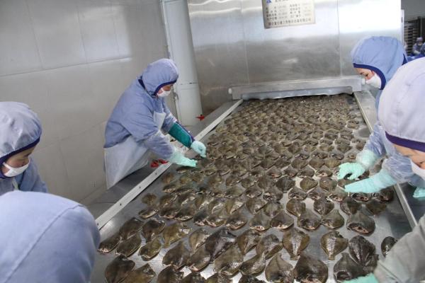珲春水产加工业发展迅猛 打造国际水产基地_新浪财经_新浪网