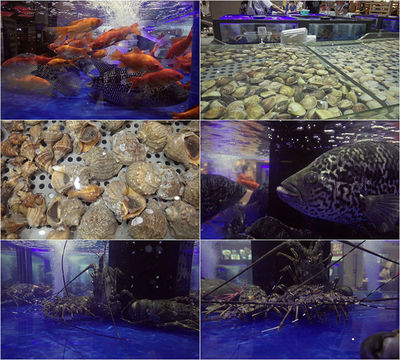 海鲜水产市场_3840X2160_高清视频素材下载(编号:3675051)_实拍视频