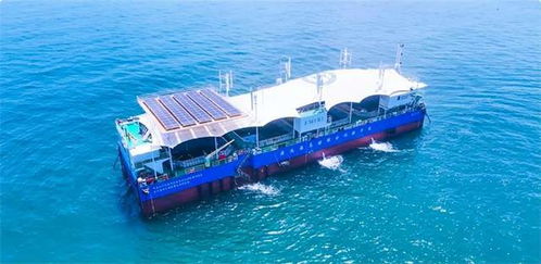 全国首座深海养殖综合实验平台落户威海