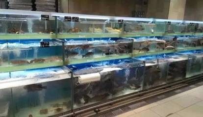 生鲜水产、蔬果类商品保鲜实战指导(保鲜陈列、保鲜技巧、处理手法)