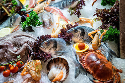 海鲜水产