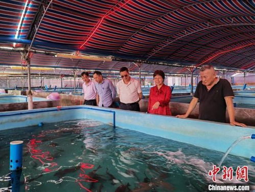 台商借自贸港政策东风加速布局海南水产产业