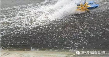 水产养殖中藻类的定向培养技术与应用