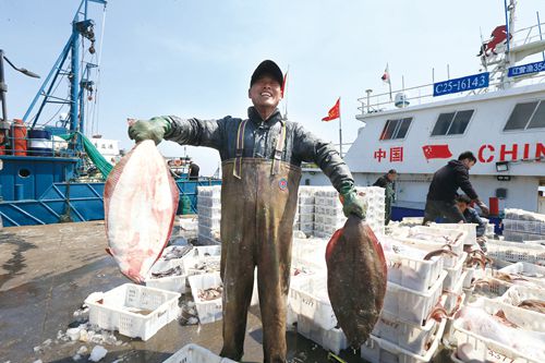 荣成渔业捕捞有序展开，水产供应稳步恢复