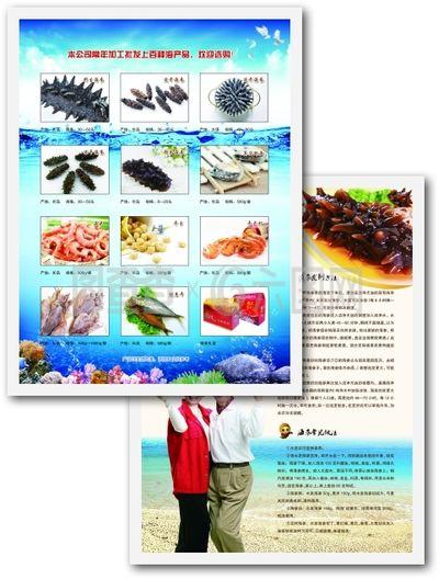 海参 滋补珍品，水产瑰宝