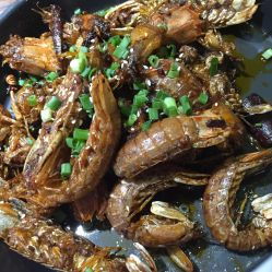 虾搞时尚水产旗舰店 引领水产消费新潮流