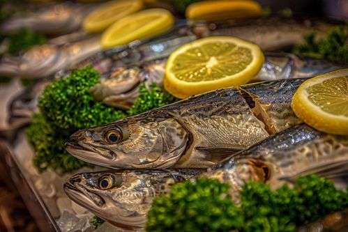 银鳕鱼 海洋的瑰宝与餐桌上的珍馐