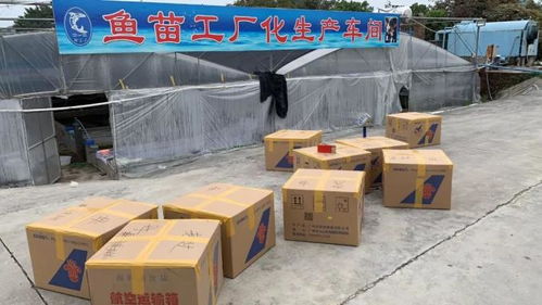 花都4 6月份水产品监督抽查 全部合格