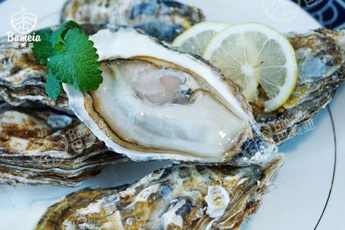 福建优益佳水产 优益佳水产 用心做好蚝