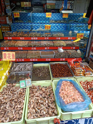 宋付春水产品
