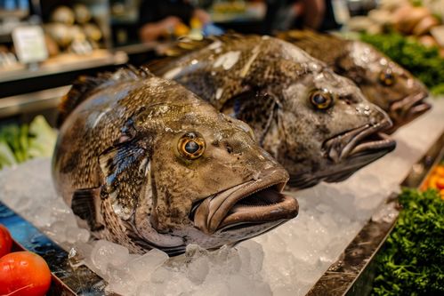 生鲜海鲜水产银鳕鱼食材 摄影图