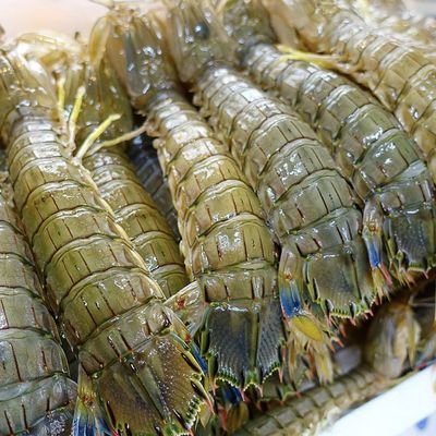 清蒸“皮皮虾”、生腌“濑尿虾”、椒盐“富贵虾”,你爱哪种虾蛄?