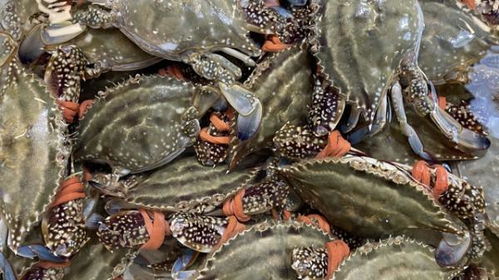 新春佳节水产热销，市场火爆喜迎销售高峰