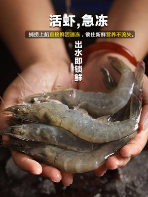 青岛大虾 鲜活与冷冻的完美选择
