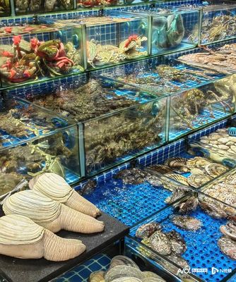 老广年货图鉴 坚果、禽类、海鲜与年宵花的购销热潮