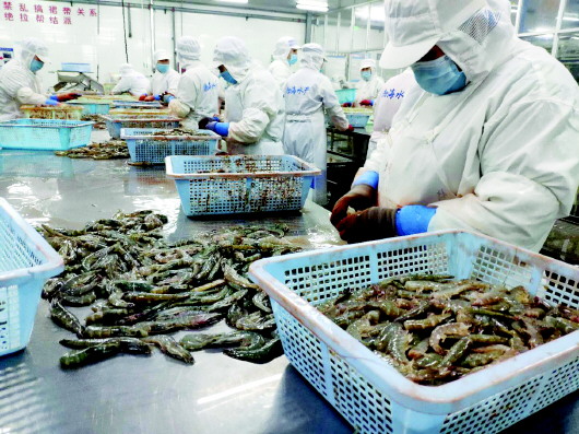 “硬核”政策助企复工复产，激活水产行业新活力