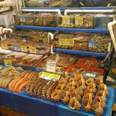 吃货的韩国鹭粱津一日游 海鲜水产市场+杯饭小吃街