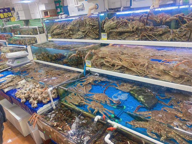 鹭梁津水产市场 韩国最大海鲜批发中心的魅力与挑战