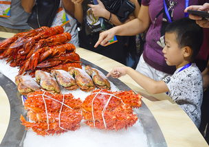 水产盛宴助力湛江水产业腾飞