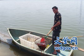 水产养殖技术之家 打造专业高效的水产养殖知识平台