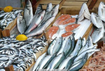 水产品图片 探索水产世界的视觉盛宴