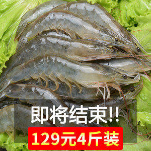 虾类水产选购指南 从鲜活到冷冻，认识12cm对虾、基围虾与深海虾