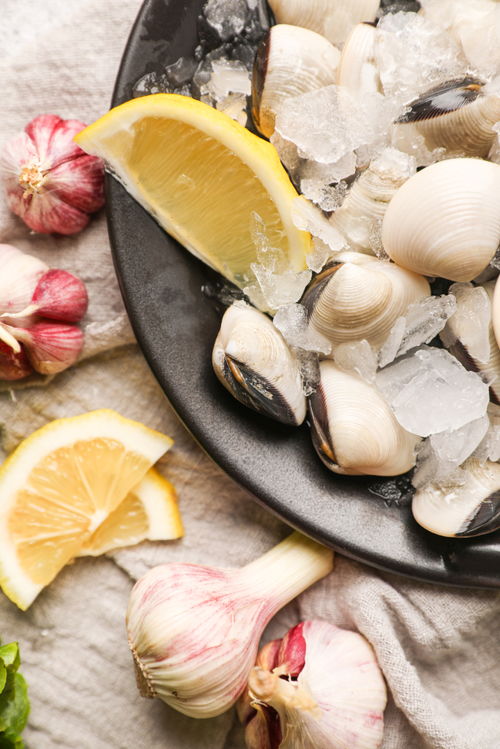 澄海生鲜 白贝之美，定格于光影之间